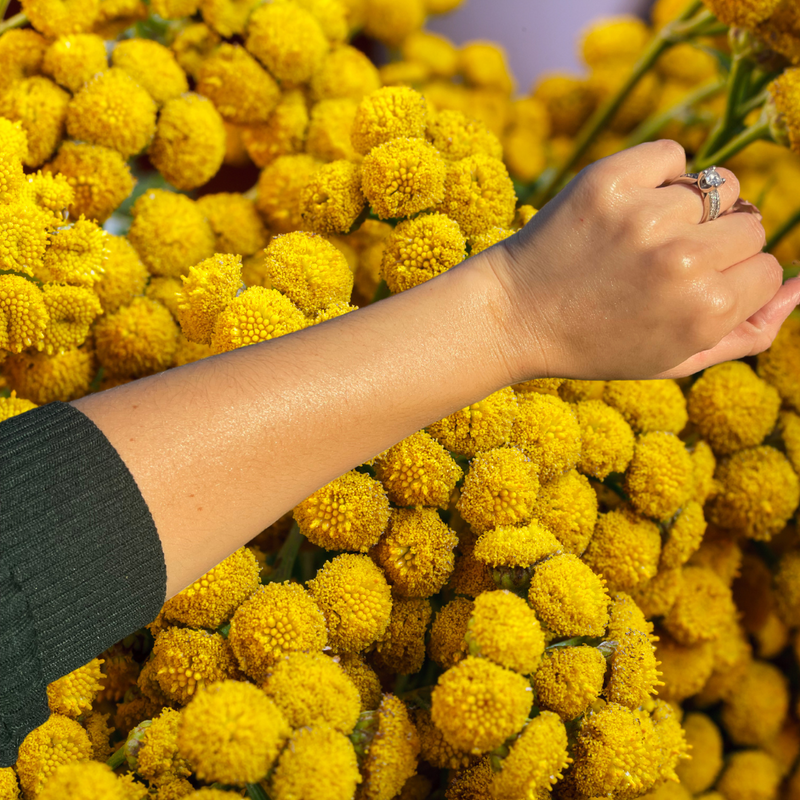 APHRODITE: Soothing balm with blue tansy